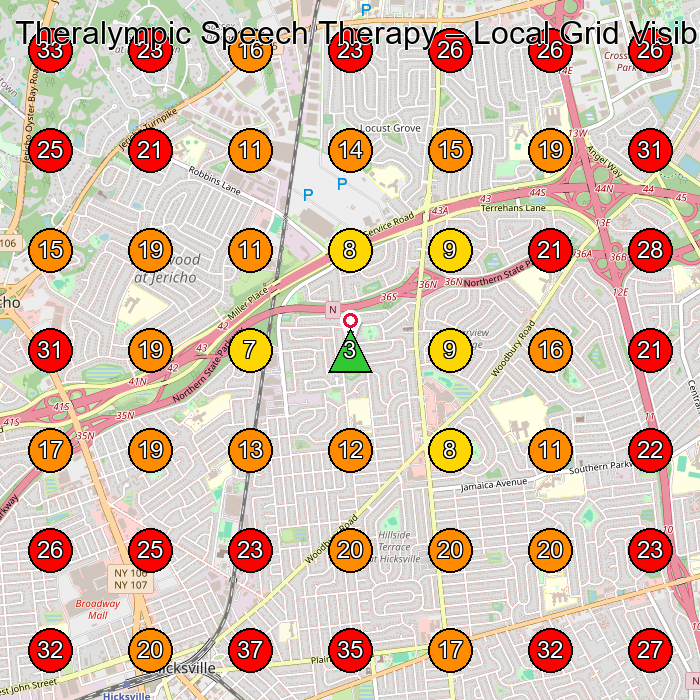 Theralympic Speech Therapy GeoGrid visibility map for Chiropractor in Hicksville